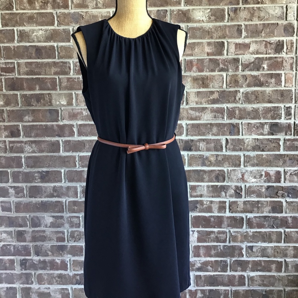 Zara Sleeveless Sheath Dress